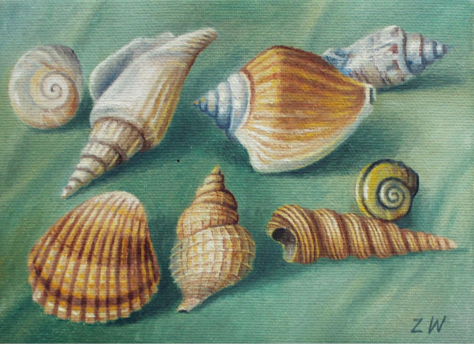 Zbigniew Wozniak Figurative Painting – Shell Shells - Zeitgenössisches figuratives Ölgemälde, Stillleben, gedämpfte Farben, Realismus