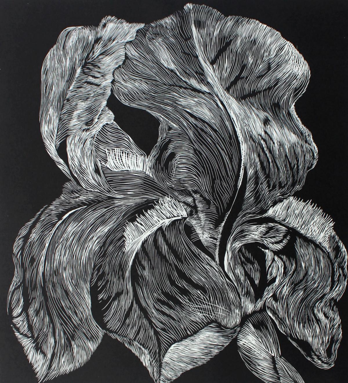 Iris Aphilla - XXI Jahrhundert, Linolschnitt, Blume, Contemporary Figurative Art,