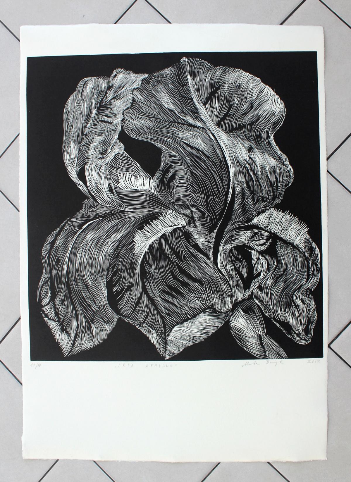 Iris Aphilla - XXI Century, Linocut, Flower, Contemporary Figurative Art, - Print by Marta Bozyk