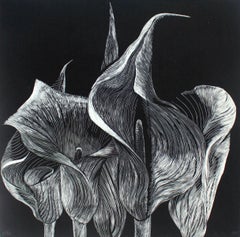 Cantedeskia - XXIe siècle, Linogravure, Fleur, Art figuratif contemporain