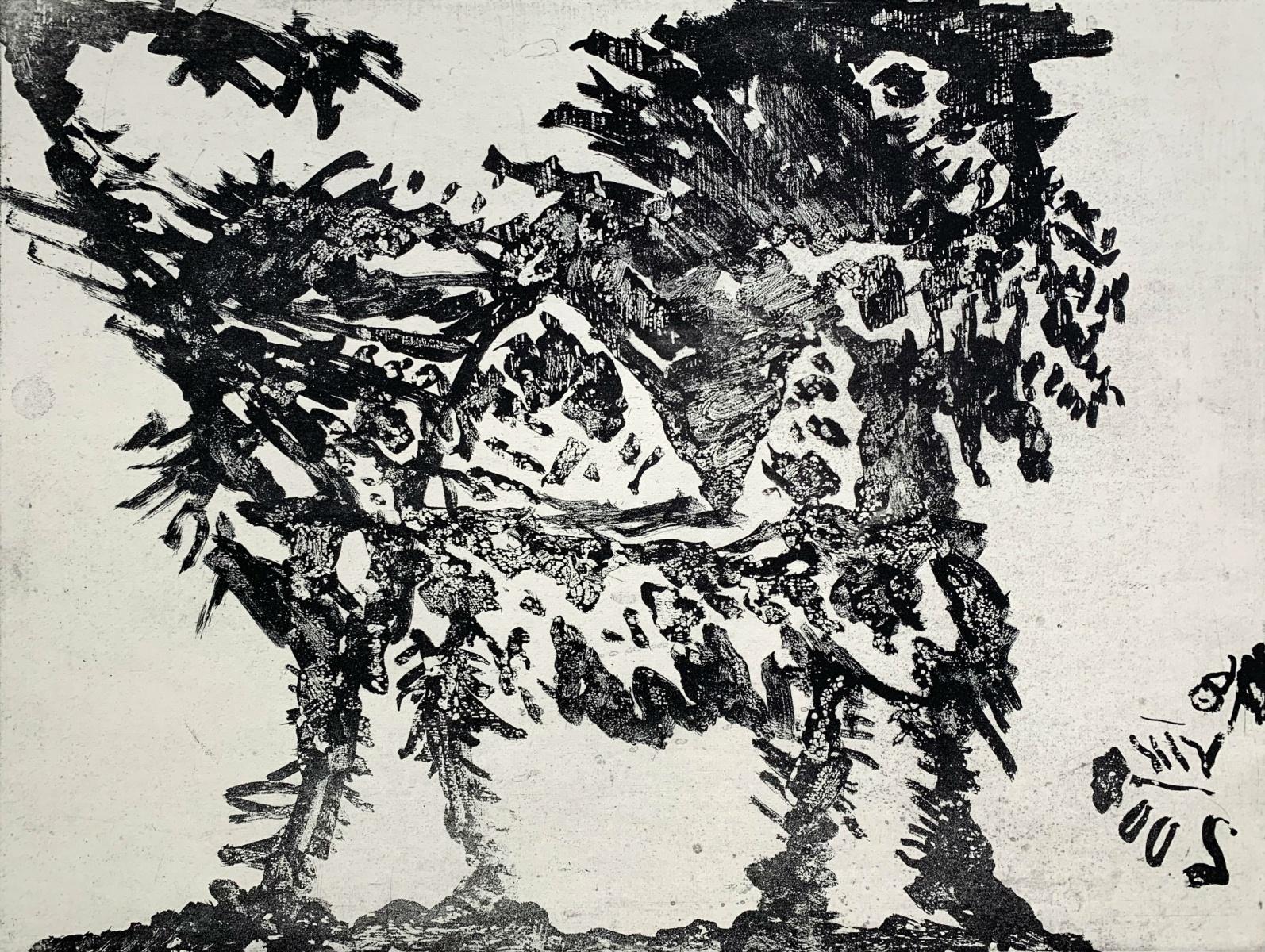 Lion and wind - Black & white etching print, Abstraction, Polish art master