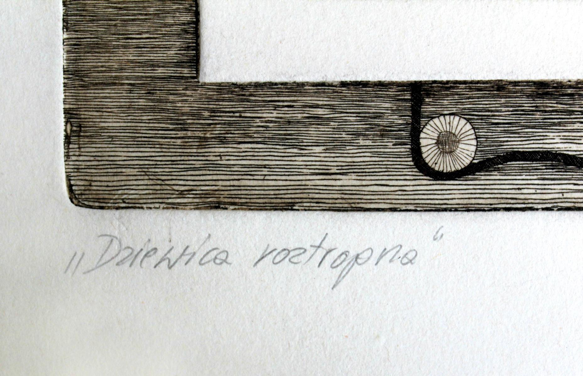 Vergine prudente - XXI secolo, Stampa all'acquaforte, Figurativo, Surrealista - Print di Andrzej Mazur