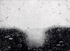 Herbario - Siglo XXI, Impresión figurativa, Flora, Blanco y negro