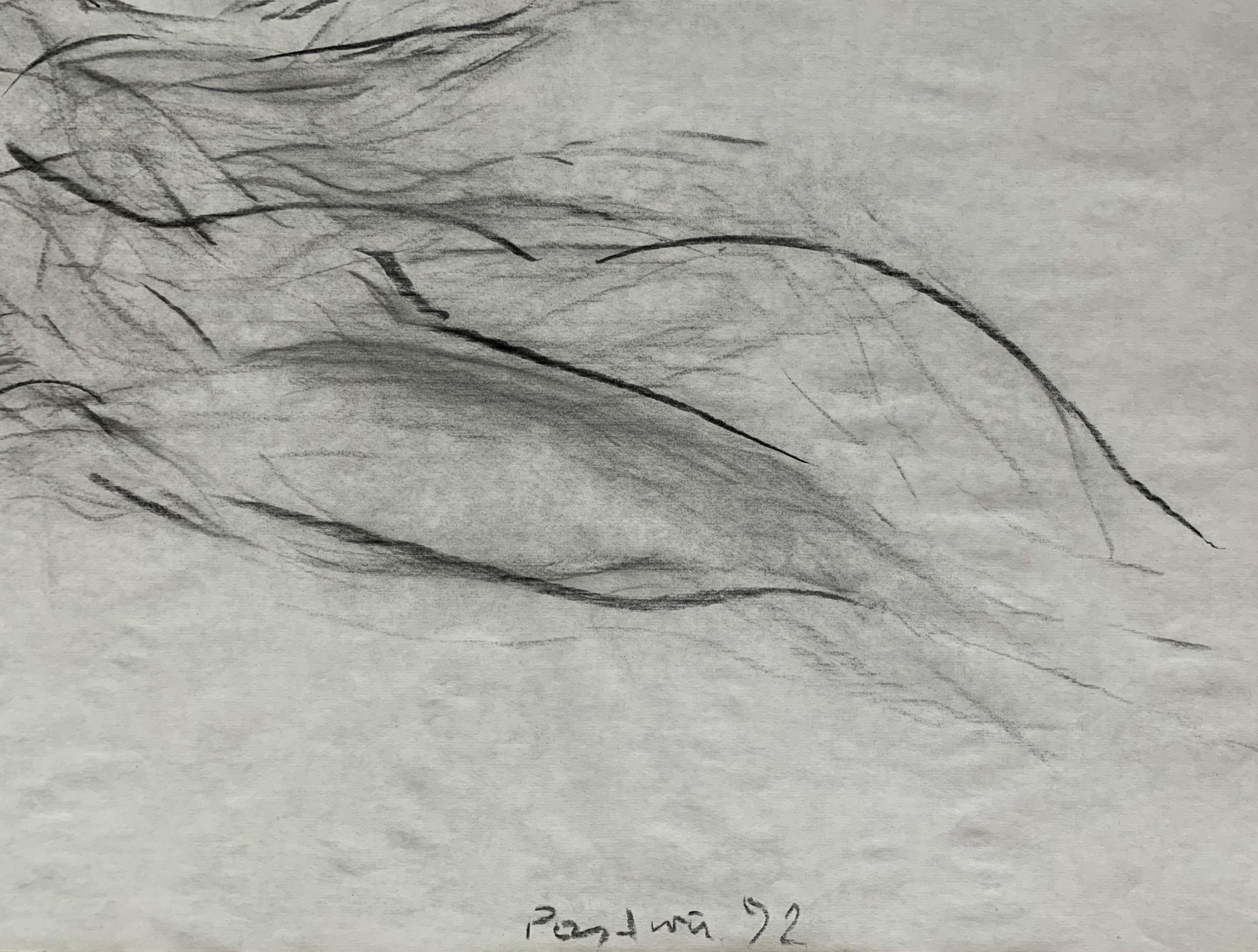 Ohne Titel - Zeitgenössische Bleistiftzeichnung, figürlich, Schwarz-Weiß (Grau), Figurative Art, von Antoni Janusz Pastwa