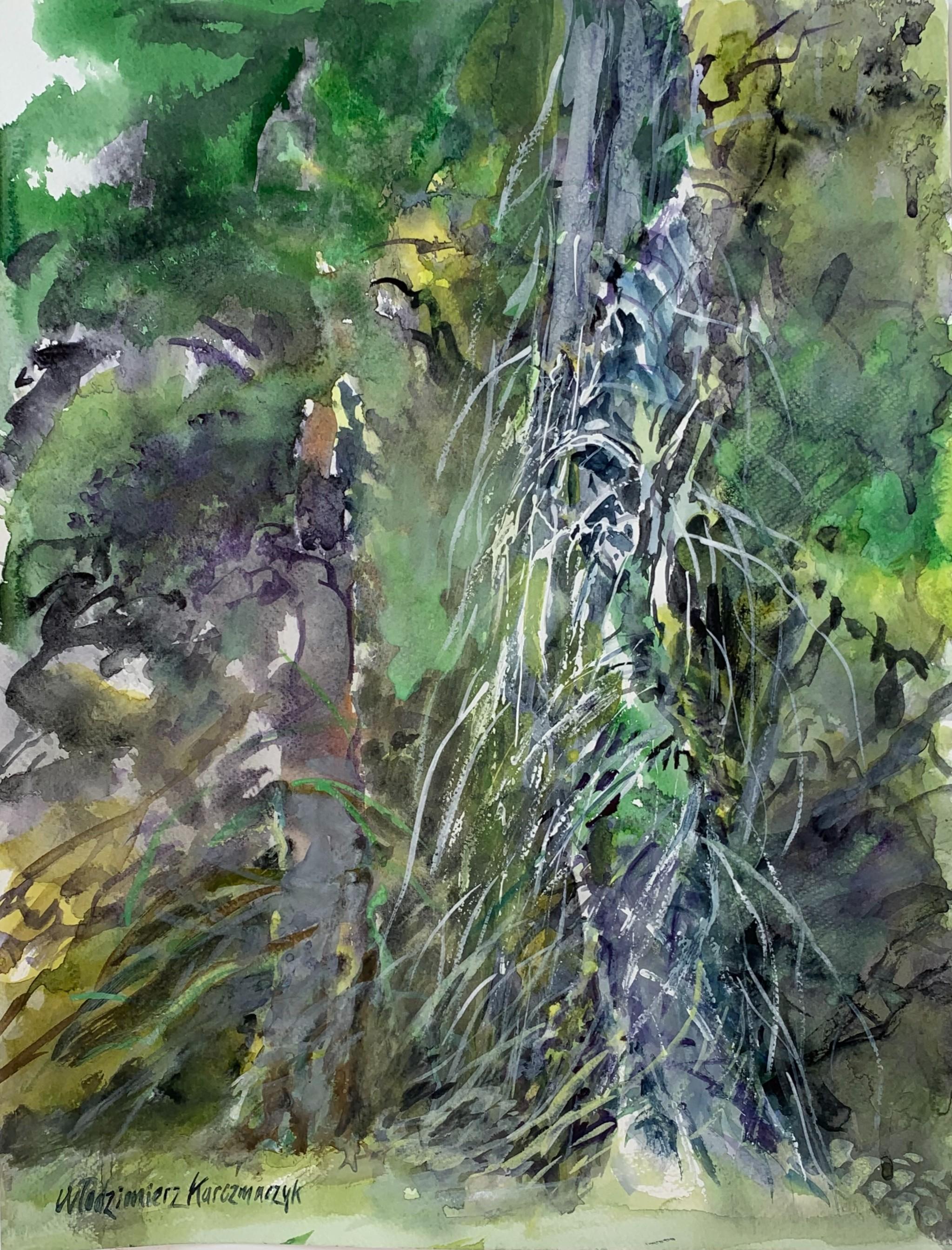 Włodzimierz Karczmarzyk Landscape Art – Oliwa, ein Park – figuratives Aquarellgemälde des 21. Jahrhunderts, Bäume, grün