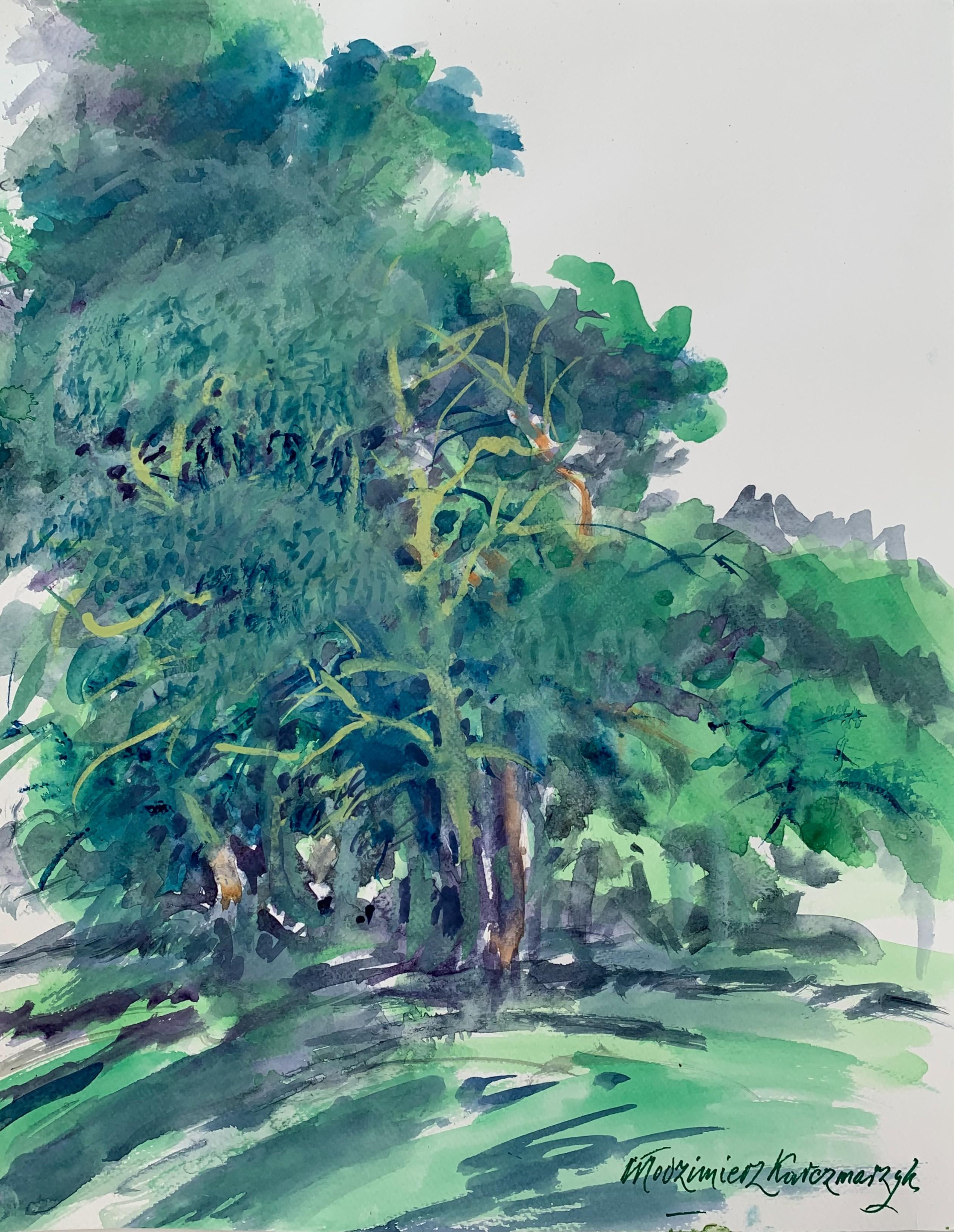 Włodzimierz Karczmarzyk Landscape Art - Landscape - 21 century Figurative Watercolor painting, Trees, Green