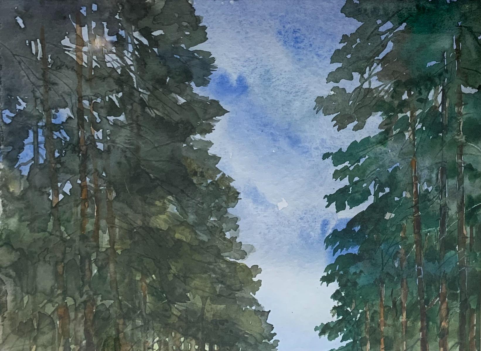 Forest in Lucien - Zeitgenössisches Aquarellgemälde, sonnige Landschaft, realistisch  (Fotorealismus), Art, von Ludomir Slupeczanski