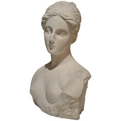 carrara marble italian venus bust sculptures pietrasanta pair jessica century putti 17th figurative sculpture plaster remarkable gilded pacing flayed horses