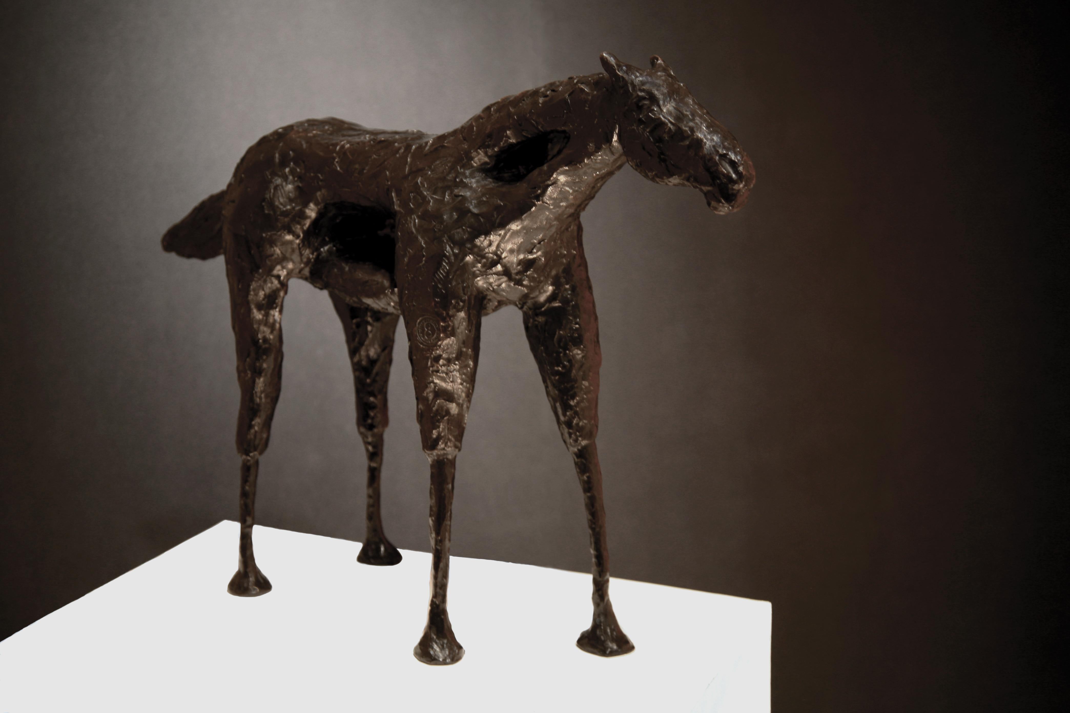Caballo Arroyo (Bronze horse sculpture by Frank Arnold)