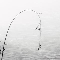 Photographie Vietnam 4 - Noir et Blanc - Plexiglas