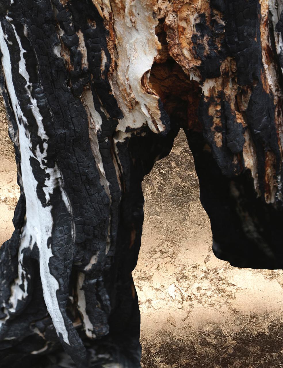 Fernanda Naman Abstract Photograph – 4 Elemente, I