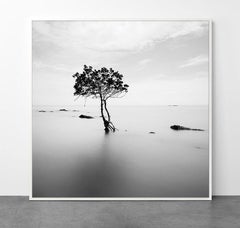 Landscape I, Thailand