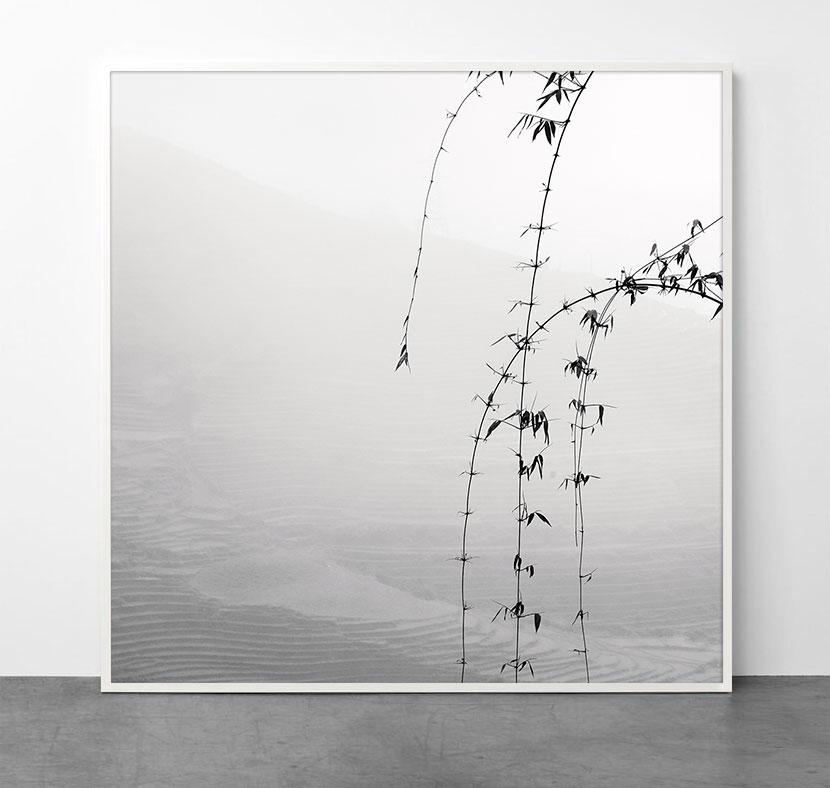 Paysage V, Viêt Nam - Photograph de Alexandre Manuel