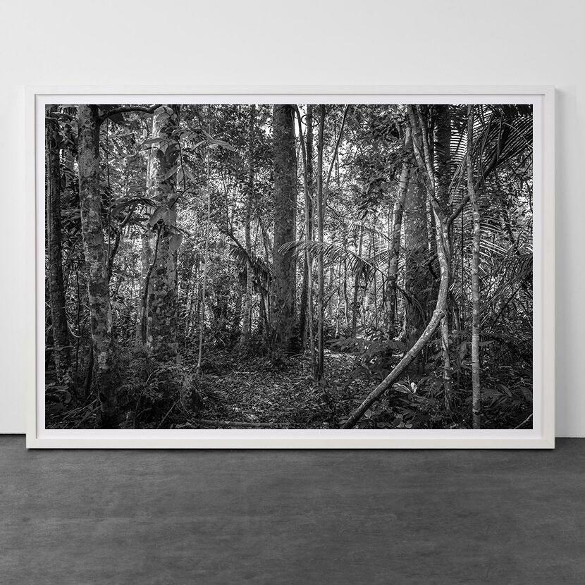 Paradisum #23, Brasilien – Photograph von Daniel Mansur