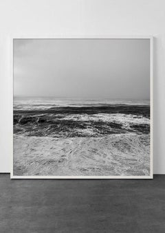 Mare 251