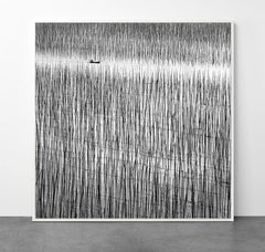 Lost in Abstraction 2, Cina