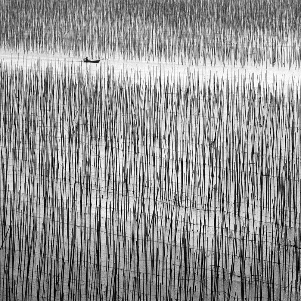 Alexandre Manuel Black and White Photograph - Lost in Abstraction 2, China