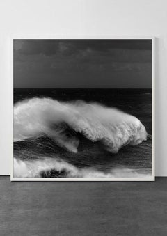 Mare #350