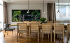 The Amazon Forest, Brazil