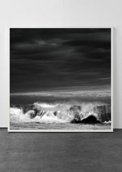 Mare #101