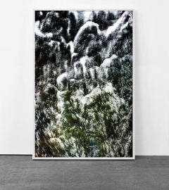 Nature Abstracts III, 2015