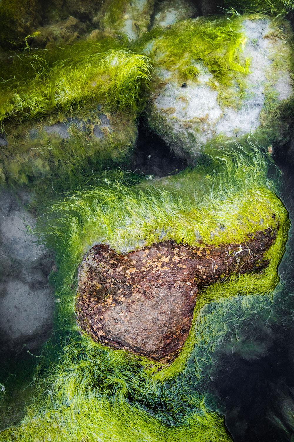Landscape Photograph de Rodrigo Katayama - Abstracción de la Naturaleza nº 10, (Fotografía Abstracta en Color)