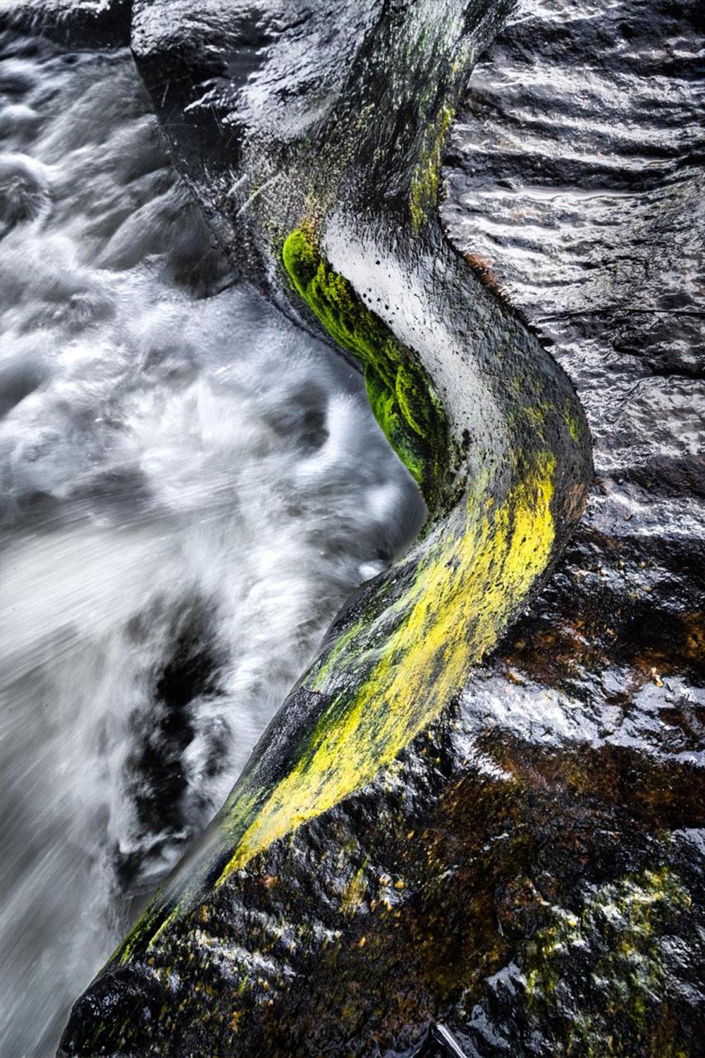 Nature Abstraction #5, Heliodora (Farbige abstrakte Fotografie)