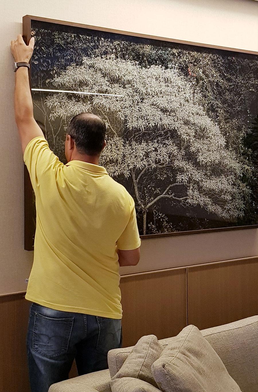 Daniel Mansur - arbre Brumadinho, Brésil en vente 3