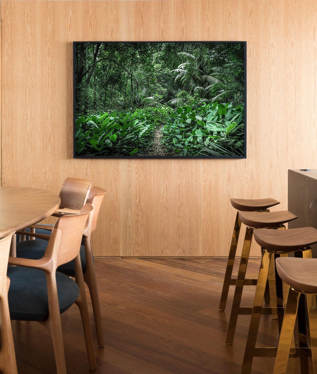 Daniel Mansur Color Photograph – In Paradisum #1  Inside a Forest – Landschaftsfotografie