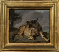 A Wolf