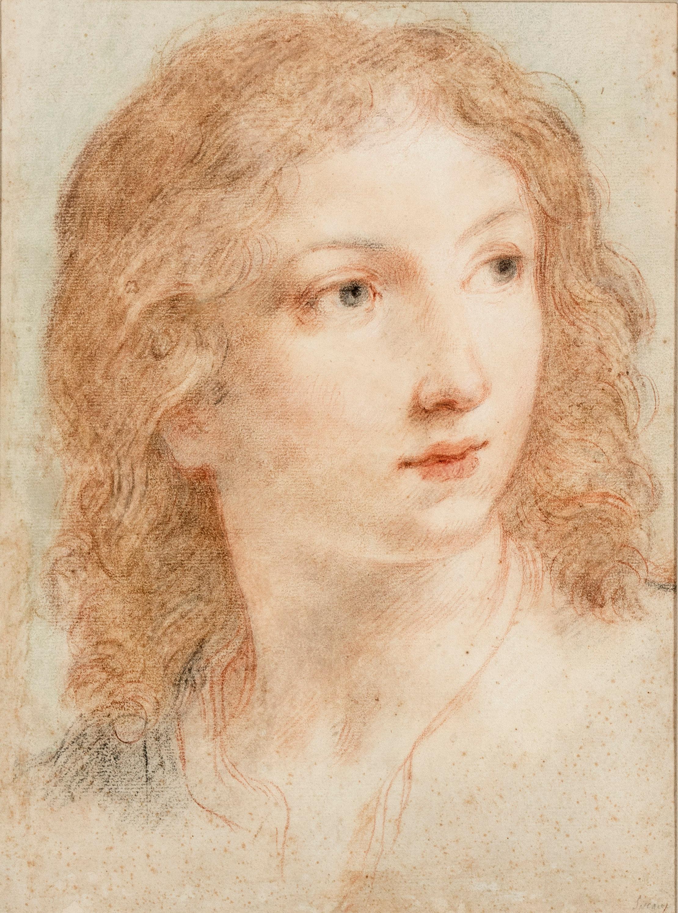Elisabetta Sirani (Bologna 1638-1665) Portrait - Head of a Youth
