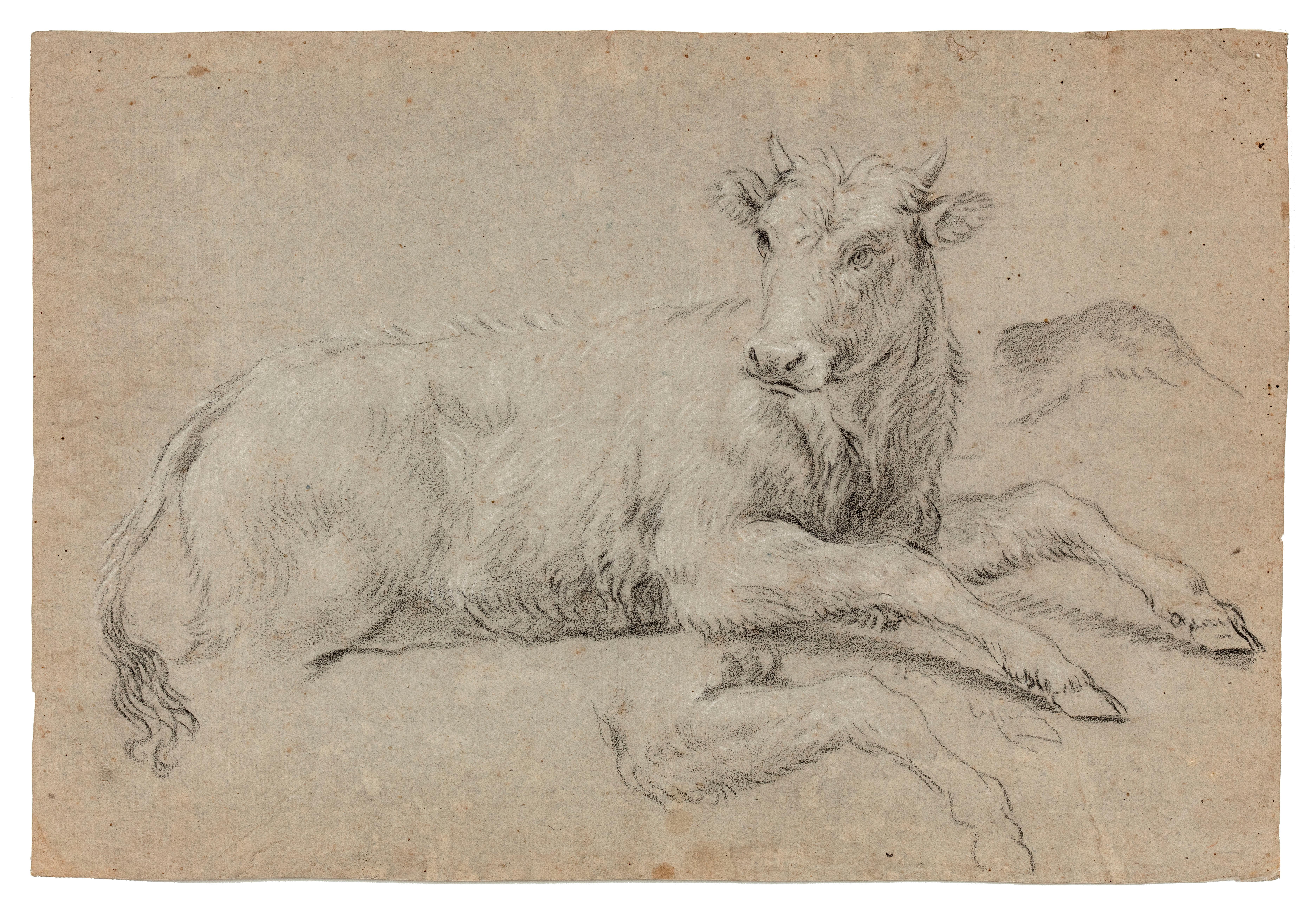 17th Century French School Animal Art – Studie eines Stiers und Studie von zwei Köpfen mit Lorbeerkronen (recto und verso)