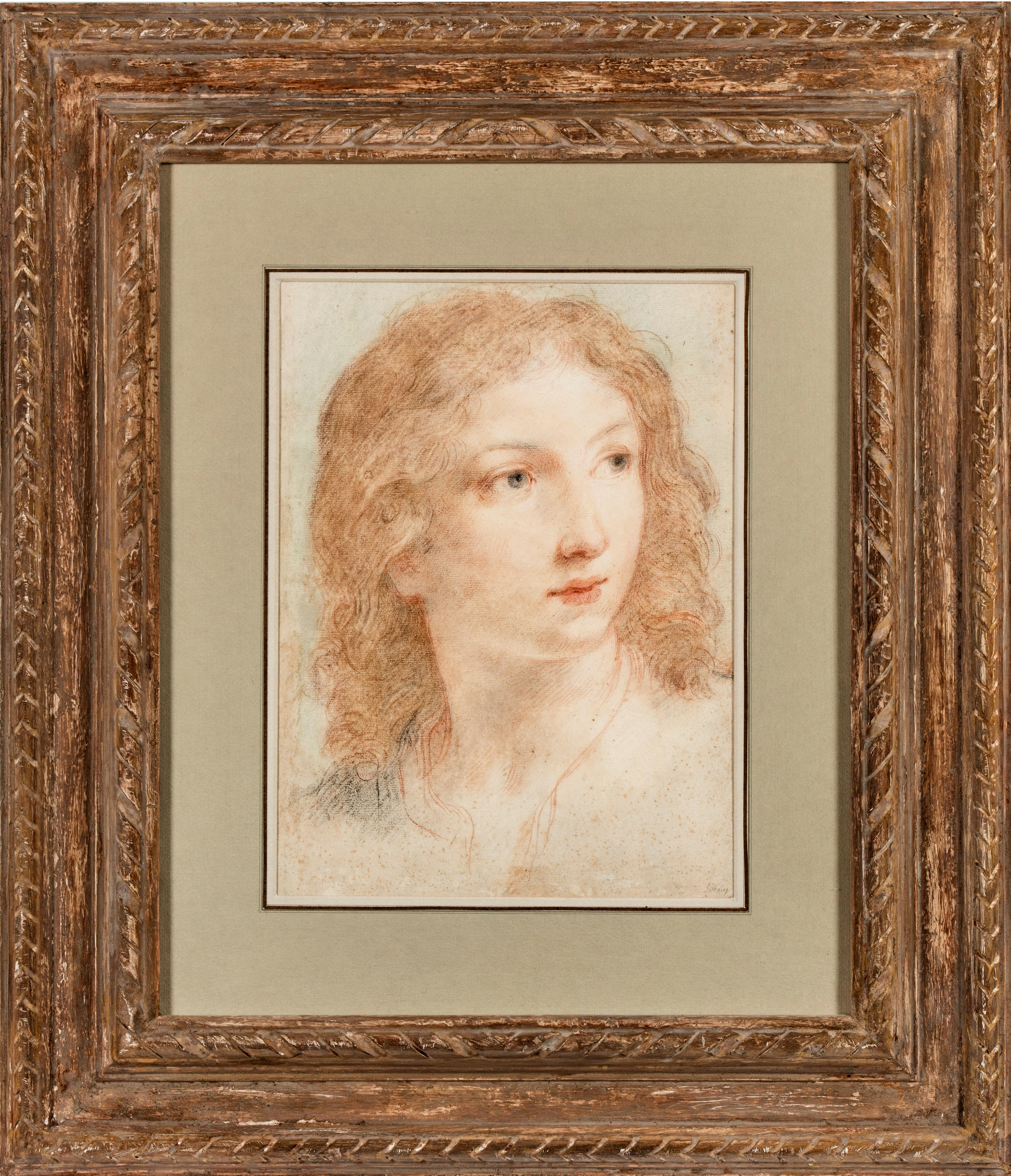 Head of a Youth - Art by Elisabetta Sirani (Bologna 1638-1665)