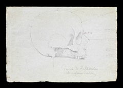 Raphael’s Skull