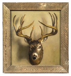 A Trompe l’oeil of a Stag’s Head