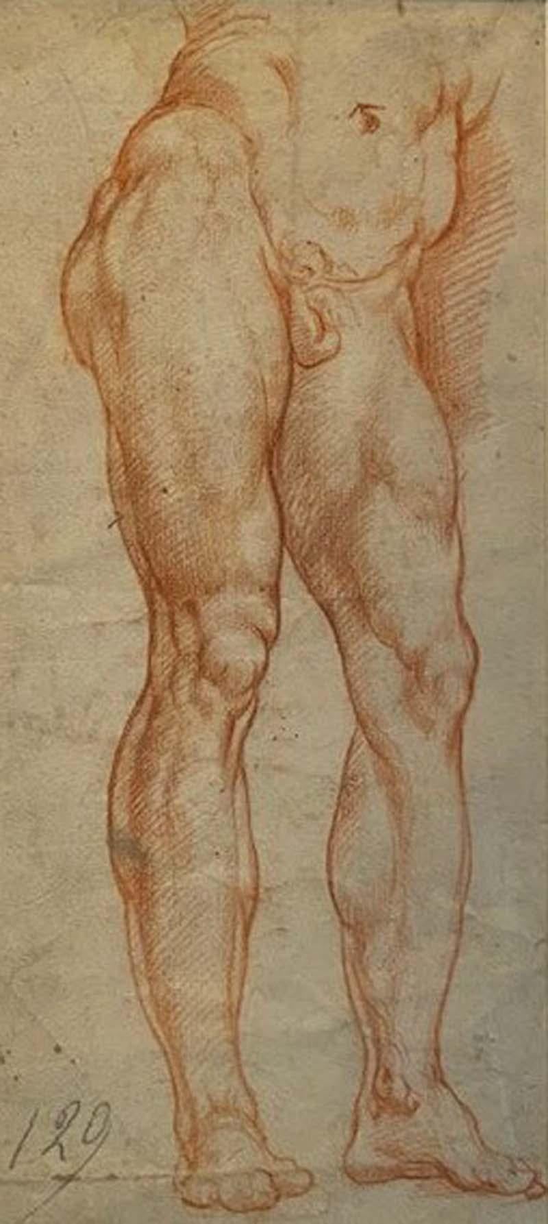 Unknown Nude - Study after the Farnese Hercules