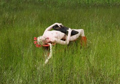 Nude Photography