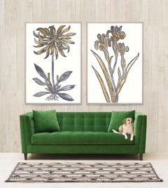 Historical Botanical 1, Gold Leaf, Framed