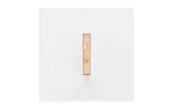 Gold Mind in White, metal frame, gold leaf, lucite box