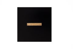 Gold Mind in Black, metal frame, gold leaf, lucite box