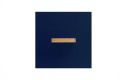 Gold Mind in Navy, metal frame, gold leaf, lucite box