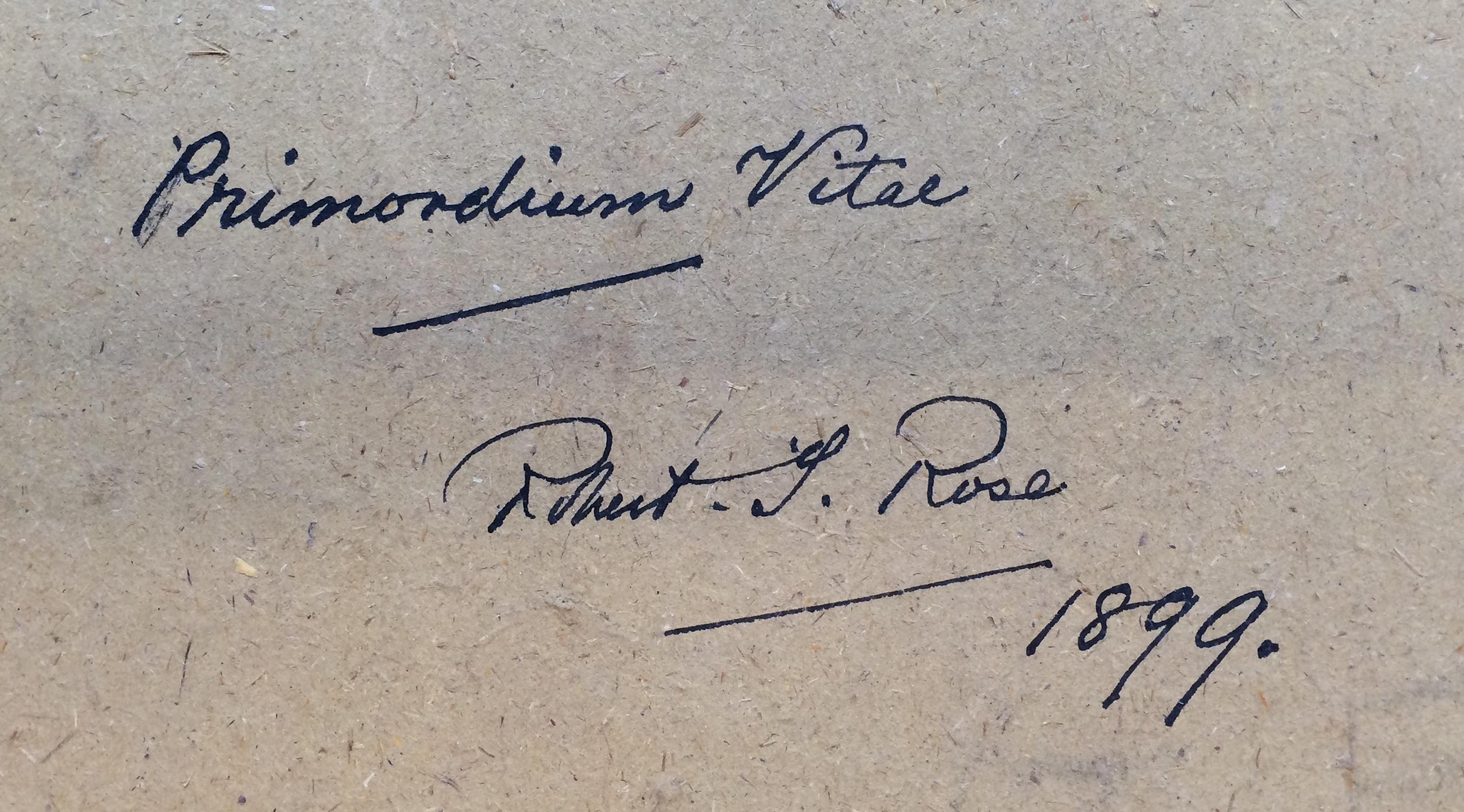 Primordium Vitae - Symbolistisches Aquarell im schottischen Keltischen Revival des späten 19. Jahrhunderts – Art von Robert Traill Rose