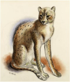 "Cheeta - Dessin à la craie d'un chetah réalisé par Patrick Millard dans les années 1930