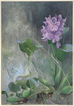 Antique Water Hyacinth - Early 20th Century Botanical watercolour of by Arthur Wardle