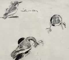 Nutty Scratching - 20th Century British wildlife drawing by Eileen Soper