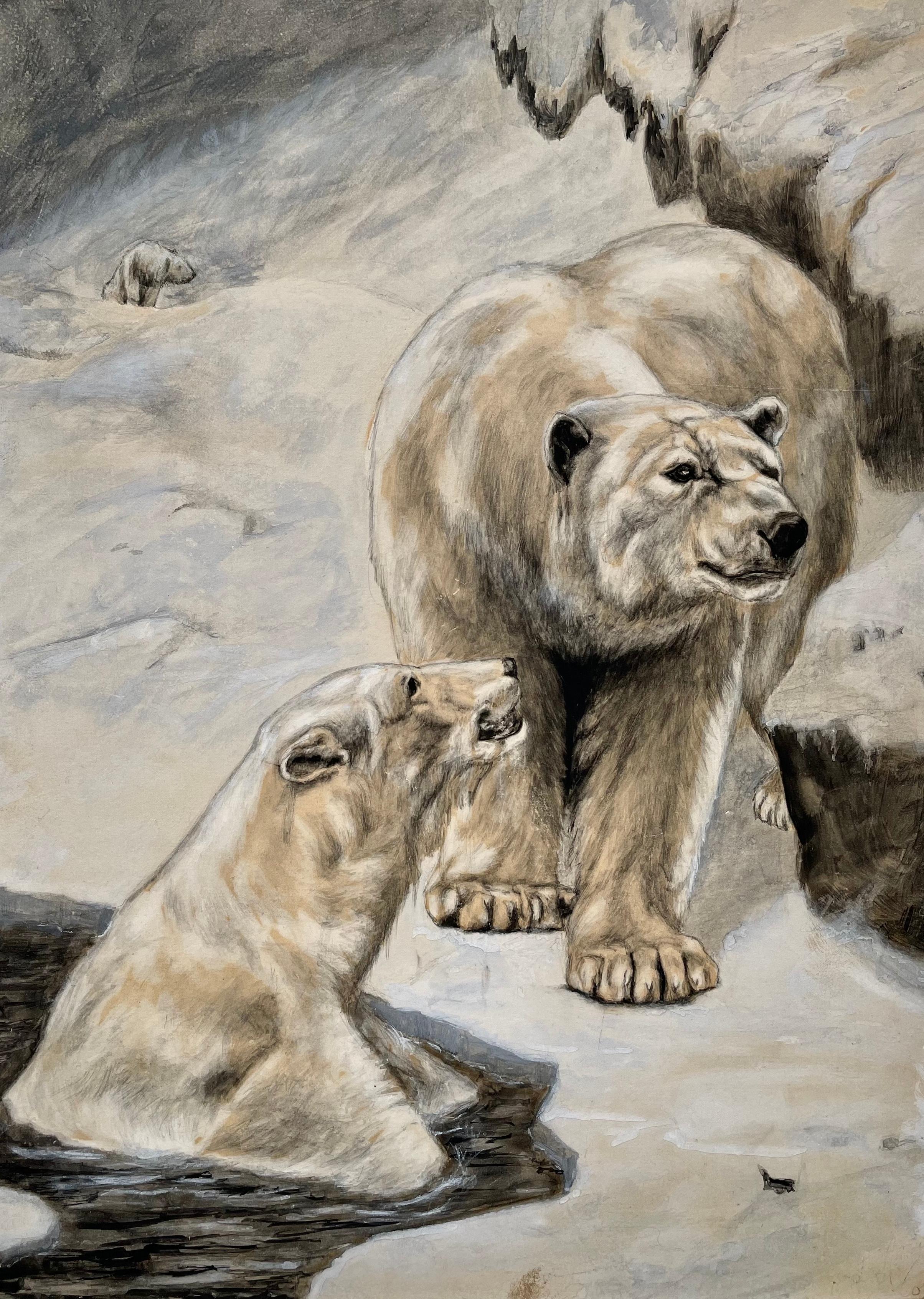 Alfred Adalbert Boese Animal Art - 1901 British watercolour illustration of Polar Bears by Alfred Boese