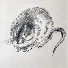 Ratty - 20th Century British drawing of a water vole by illustrator Eileen Soper