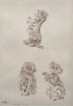 Studies of a Dog - 20th Century British drawing by Sir William Russell Flint