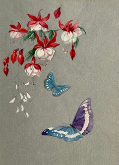 Early 20th Century British School watercolour of Butterflies and Fuschia