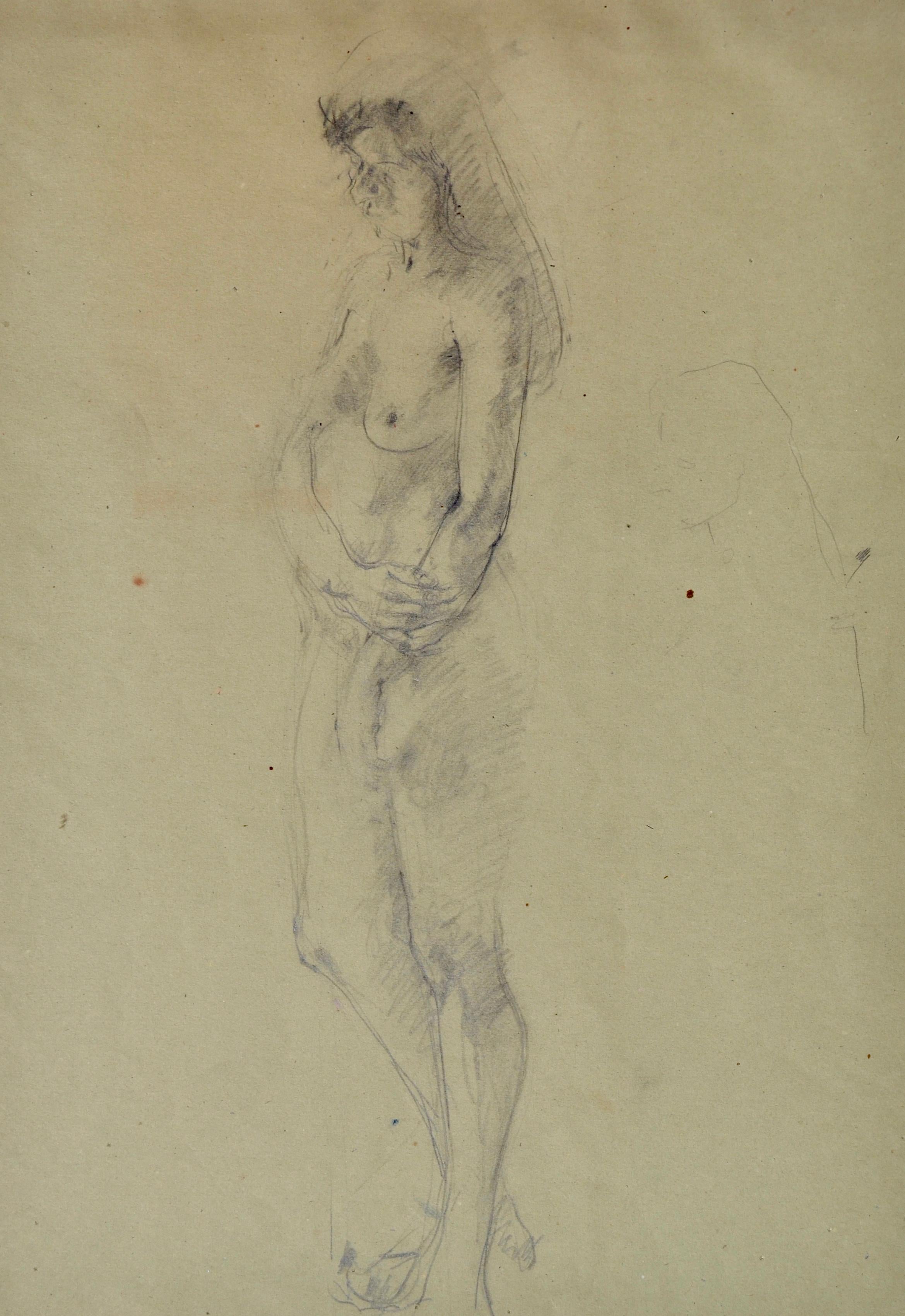 CAROLYN SERGEANT
(1937-2018)

Standing Nude

Signed A M C Cann (the artist's maiden name) on the reverse and inscribed Finals
Pencil on buff paper, unframed

49.5 by 34 cm., 19 ½  by 13 ½ in. 
(mount size 66 by 49.5 cm., 26 by 19 ½ in.)

Carolyn